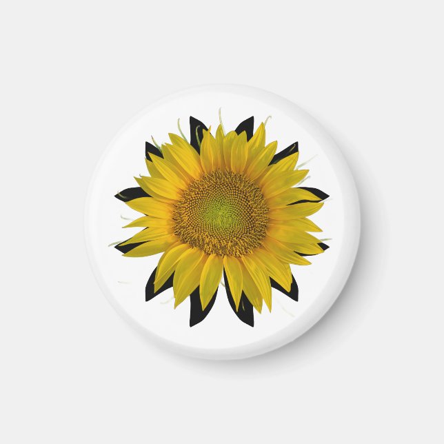 Íman Girassol (Frente)