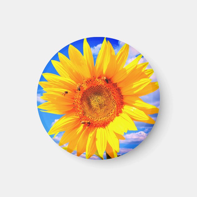 Íman Girassol e Abelhas Magnet (Frente)