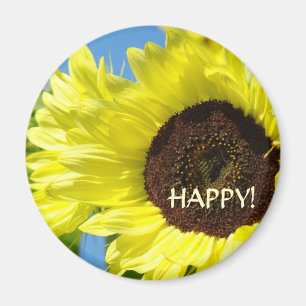 Íman Girassol Feliz! Ímãs Amarelos Flores do Sol