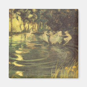 Íman Giro das fadas pelo preto de Arthur, dança