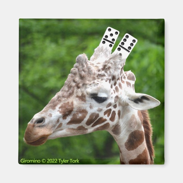 Íman Giromino (Frente)