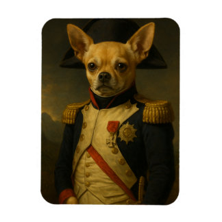 Íman Gizmo the Great – Napoleon Style