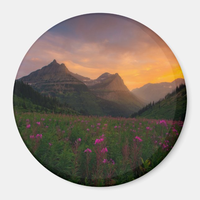 Íman Glaciar Wildflower (Frente)