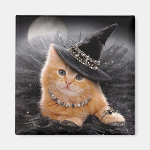 Íman Glamorous Witch Kitten