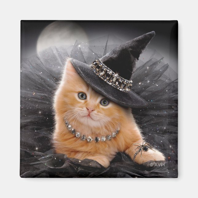Íman Glamorous Witch Kitten (Frente)