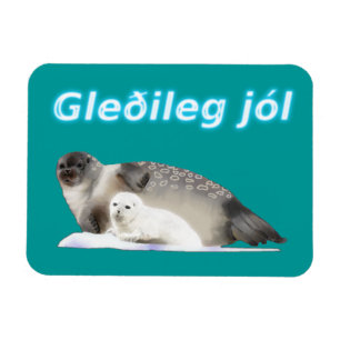 Íman Gleðileg jól - Selo com anel
