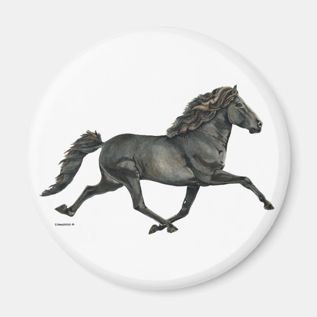 Íman Gletta (Frente)