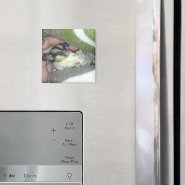 Íman Glider de Açúcar Dormindo em Aberto (In Situ (Fridge))