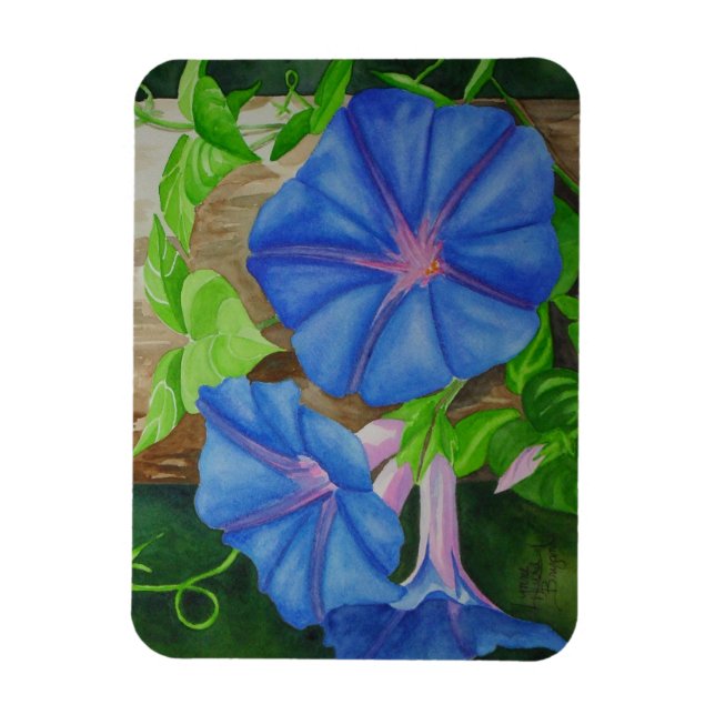 Íman Glória da Manhã (Vertical)