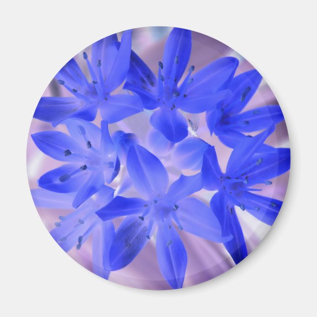 Íman Glória Da Neve Chocante Magneta Azul (Frente)