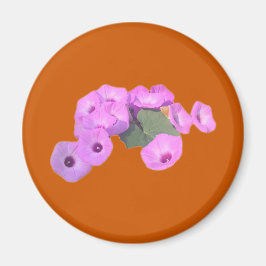 Íman Glórias da Manhã