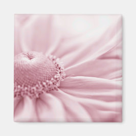 Íman Gloriosa Daisy Macro