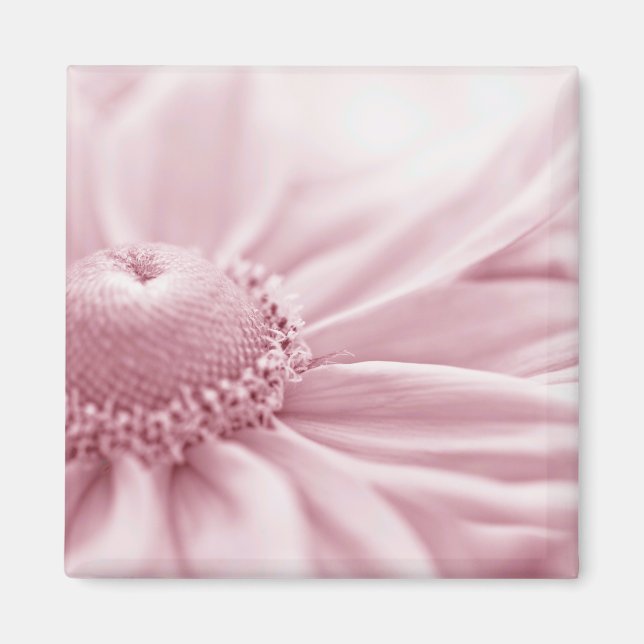 Íman Gloriosa Daisy Macro (Frente)