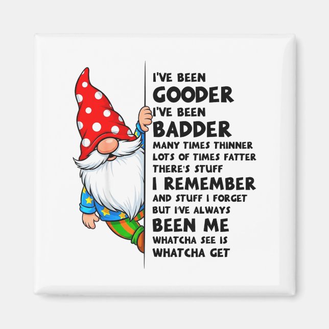 Íman Gnomo Eu Fui Melhor Eu Fui Pior Muitas Vezes T (Frente)
