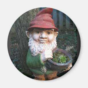 Íman Gnomos do Jardim