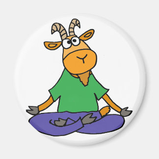 Íman Goat Engraçado Fazendo Lotus Position Yoga