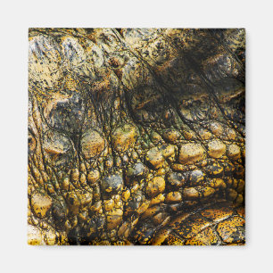 Íman Golden Crocodile Skin Texture Close Up