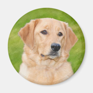 Íman Golden retriever