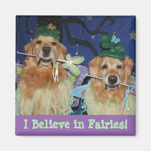 Íman Golden retriever que eu acredito nas fadas