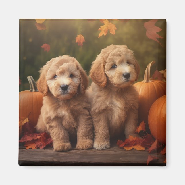 Íman Goldendoodle Puppy Autumn Delight Pumpkin (Frente)