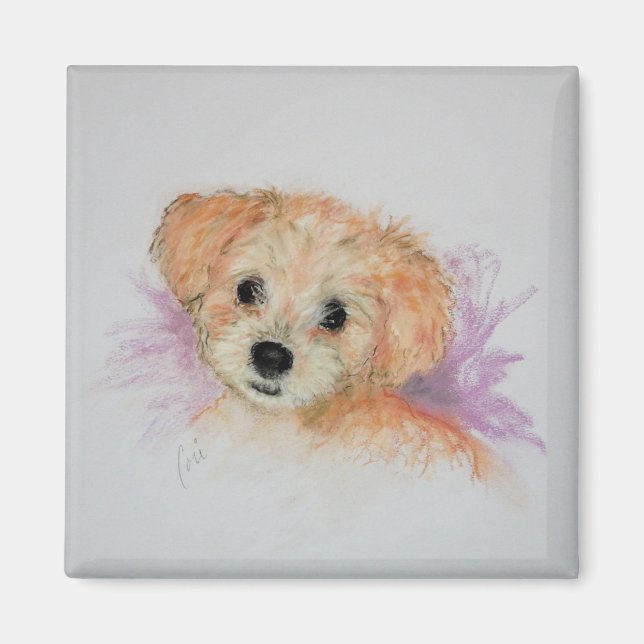 Íman Goldendoodle Puppy Dog Art Magnet (Frente)