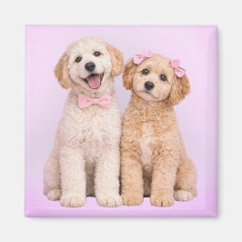 Íman Goldendoodle Puppy Love Valentine Magnet