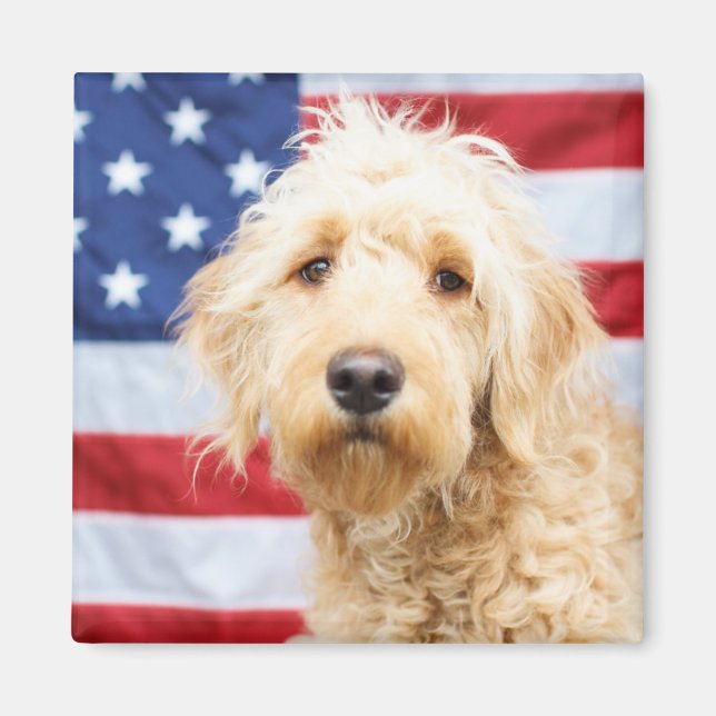 Íman Goldendoodododle com bandeira americana (Frente)