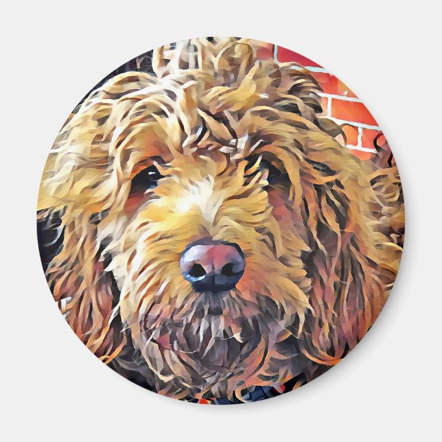 Íman Goldendoolde Puppy (Frente)