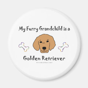Íman GoldenRetriever