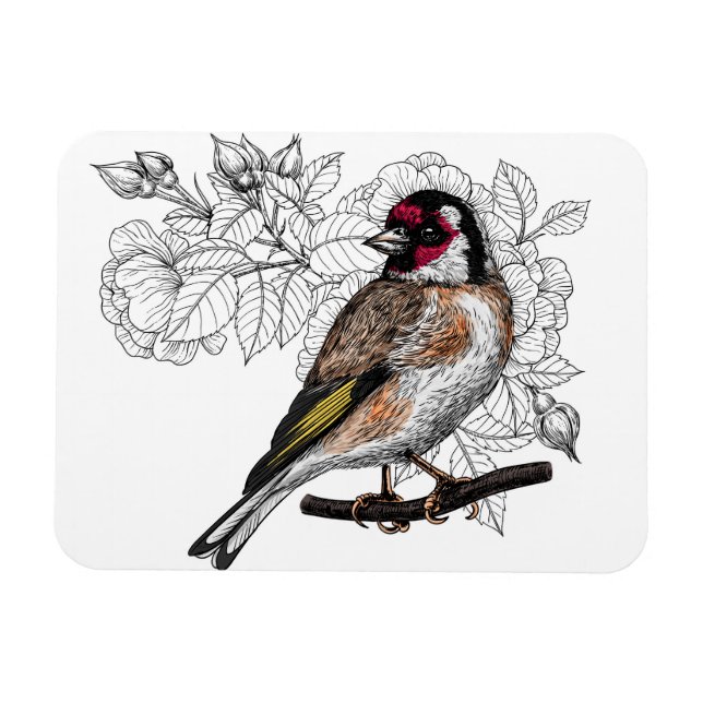 Íman Goldfinch e rosas (Horizontal)