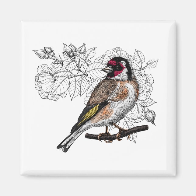 Íman Goldfinch e rosas (Frente)