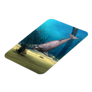 Íman Golfinho