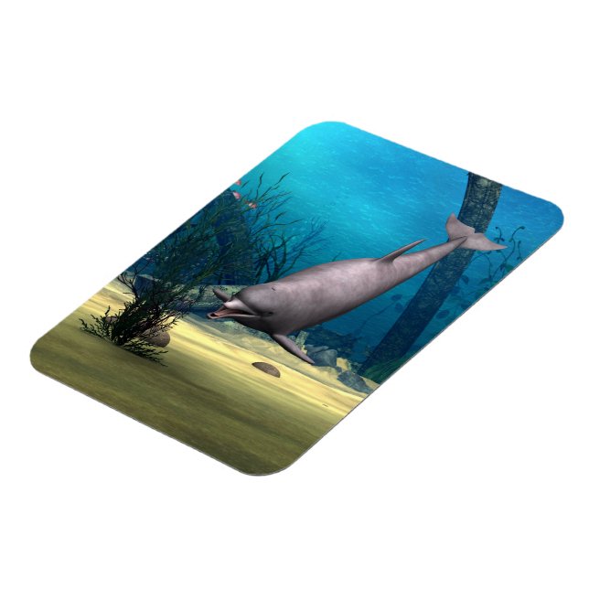 Íman Golfinho (Left Side)