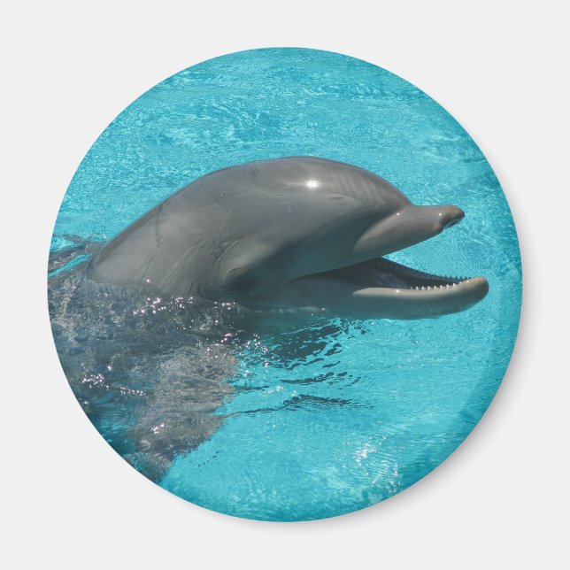 Íman golfinho (Frente)