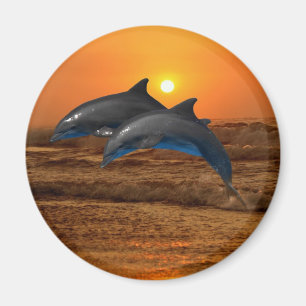 Íman Golfinho de Bottlenose no por do sol