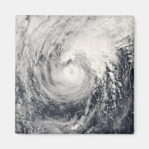 Íman Golfinho do tufão no mar filipino