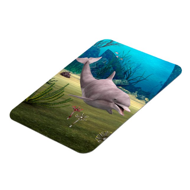 Íman Golfinho sorridente (Left Side)