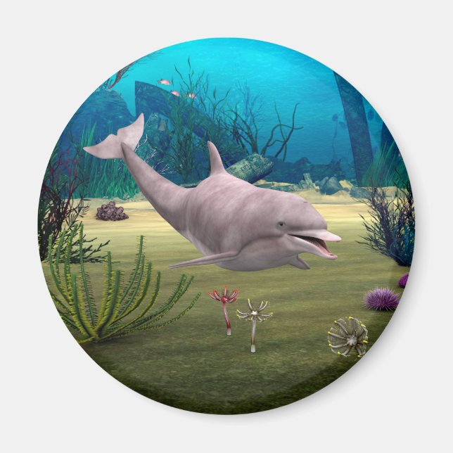 Íman Golfinho Sorridente (Frente)