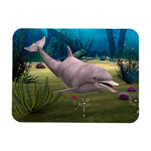 Íman Golfinho Sorridente (Horizontal)