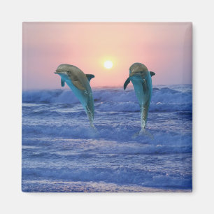 Íman Golfinhos no nascer do sol