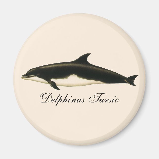 Íman Golfinhos-Vintage Delphinus Tursio, Mamíferos Mari (Frente)