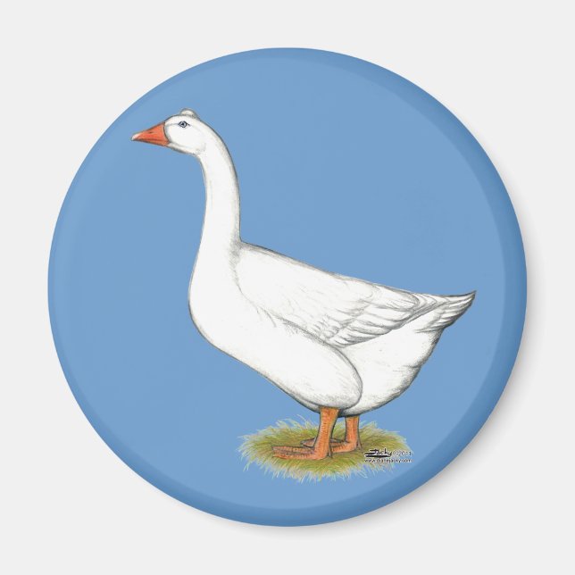 Íman Goose Roman Tufted (Frente)