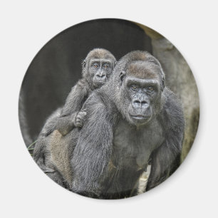 Íman Gorila & ímã do bebê