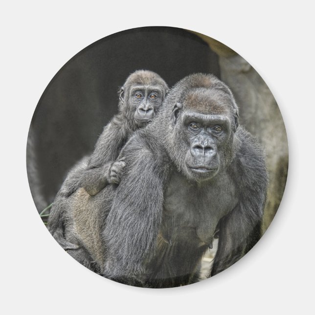 Íman Gorilla & Baby Magnet (Frente)