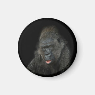 Íman Gorilla Biddy