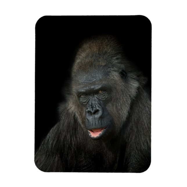 Íman Gorilla Biddy (Vertical)
