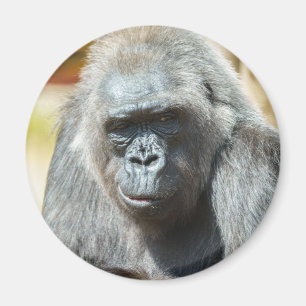 Íman Gorilla Biddy