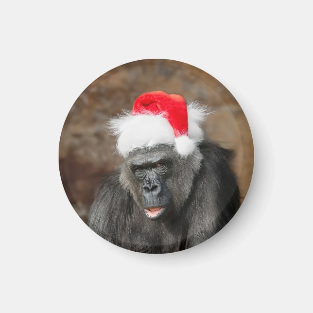 Íman Gorilla Biddy em um Chapéu Festivo de Natal (Frente)