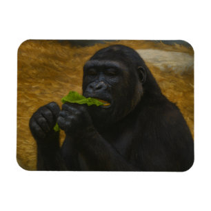 Íman Gorilla Grace - Retrato Realista da Vida Selvagem
