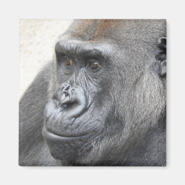 Íman Gorilla Magnet